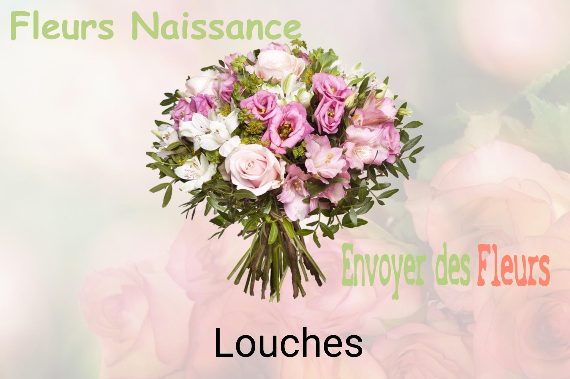 Bouquet de fleurs de naissance livré à Louches